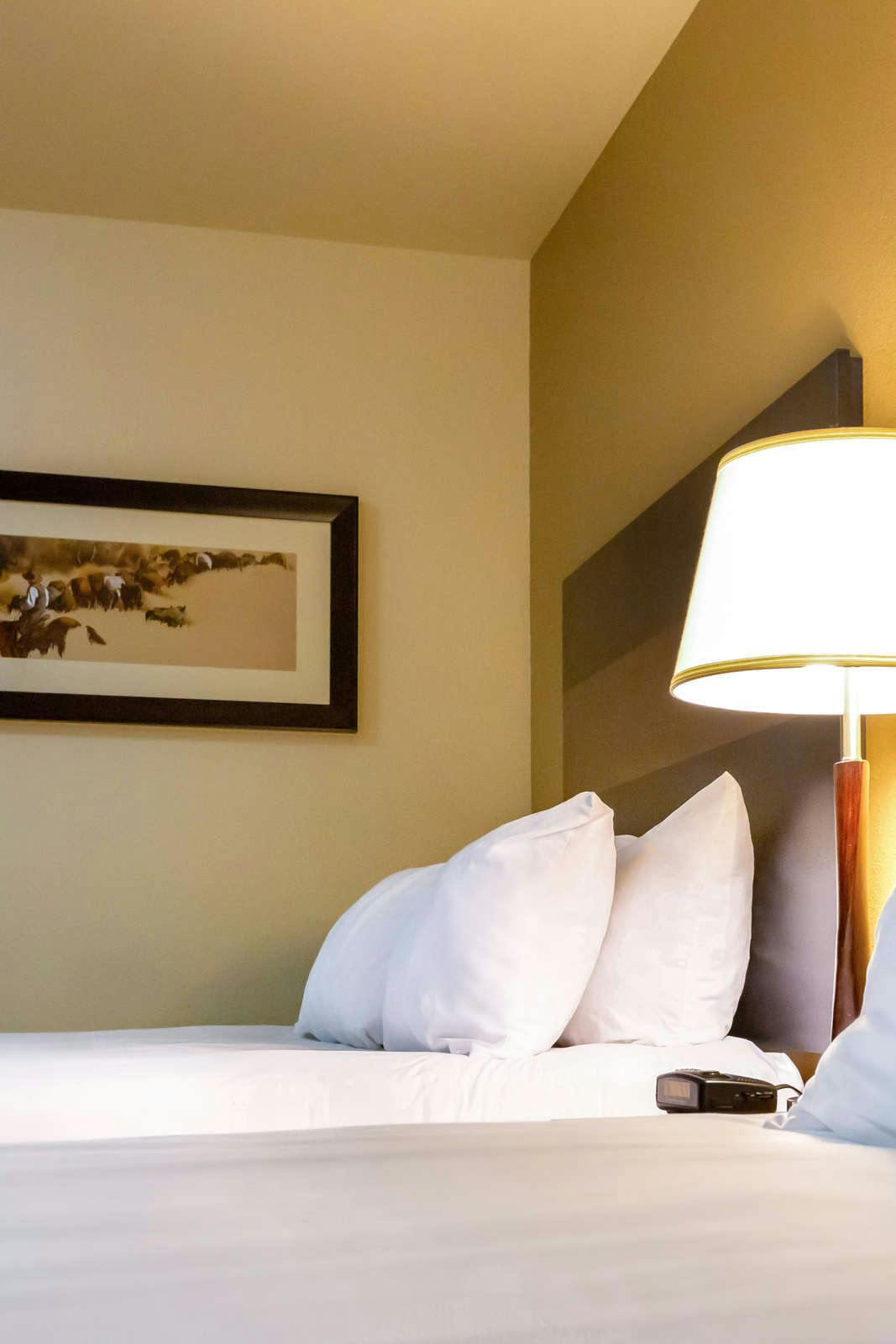 Hotel My Place Hotel-Dickinson, ND photo 2