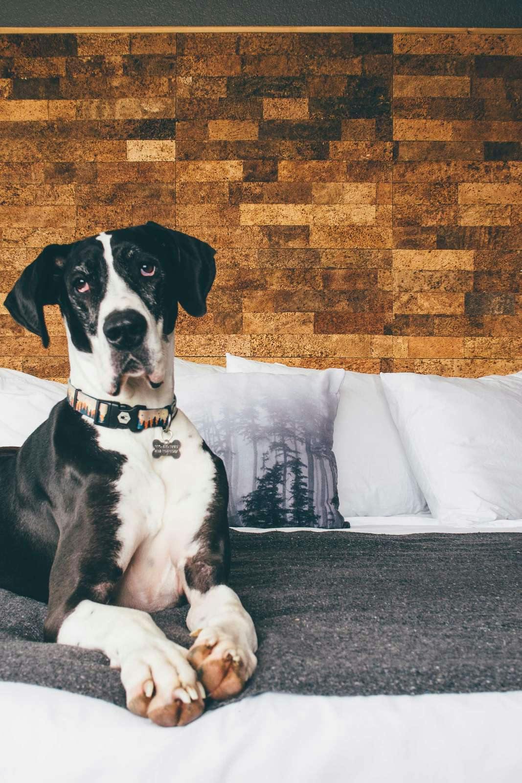 Hotel Adrift Hotel and Spa photo 2