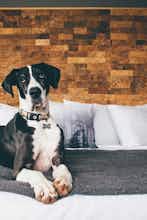 Hotel Adrift Hotel and Spa photo 2