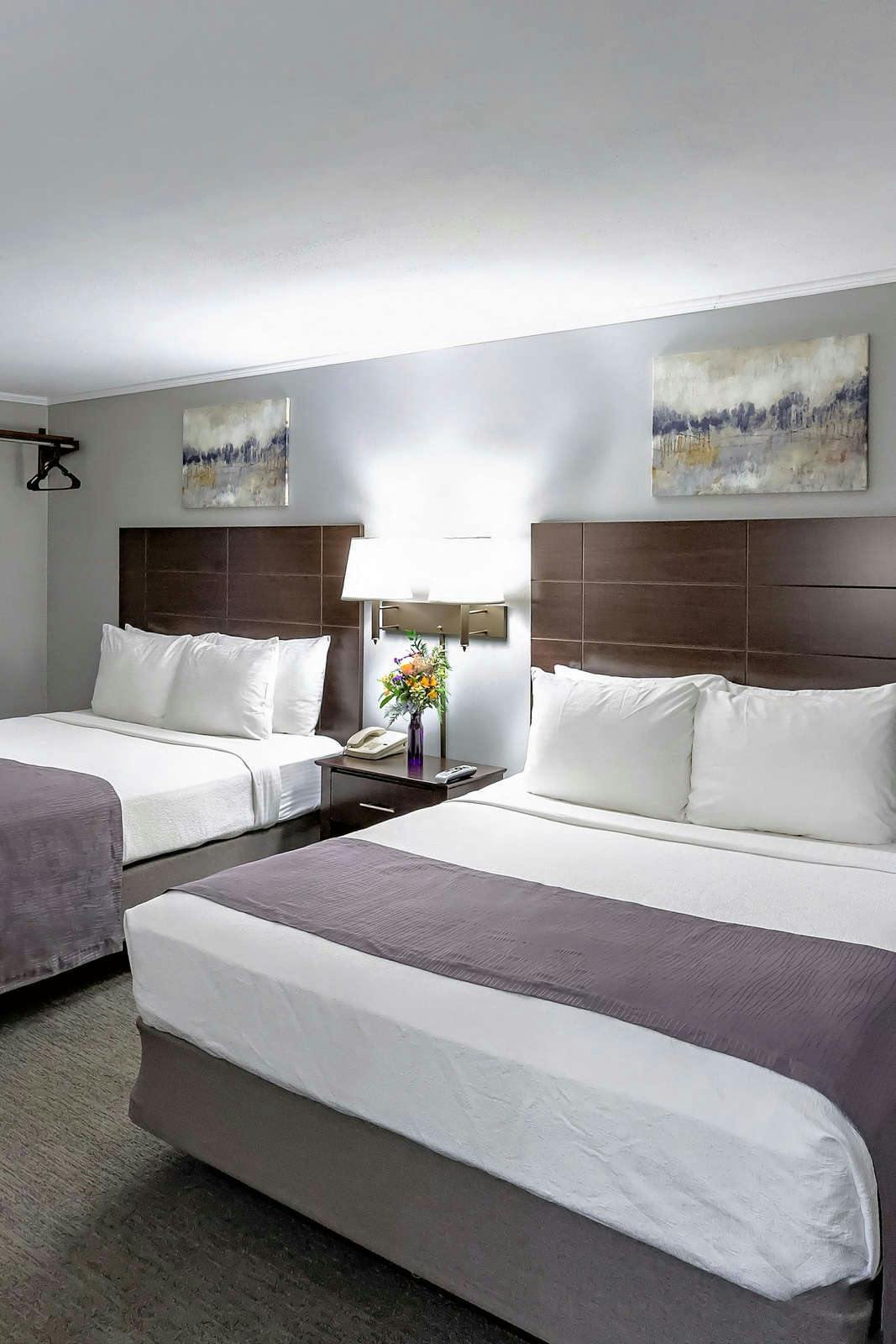 Hotel Mt. Madison Inn & Suites photo 4