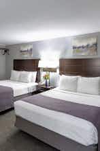 Hotel Mt. Madison Inn & Suites photo 4