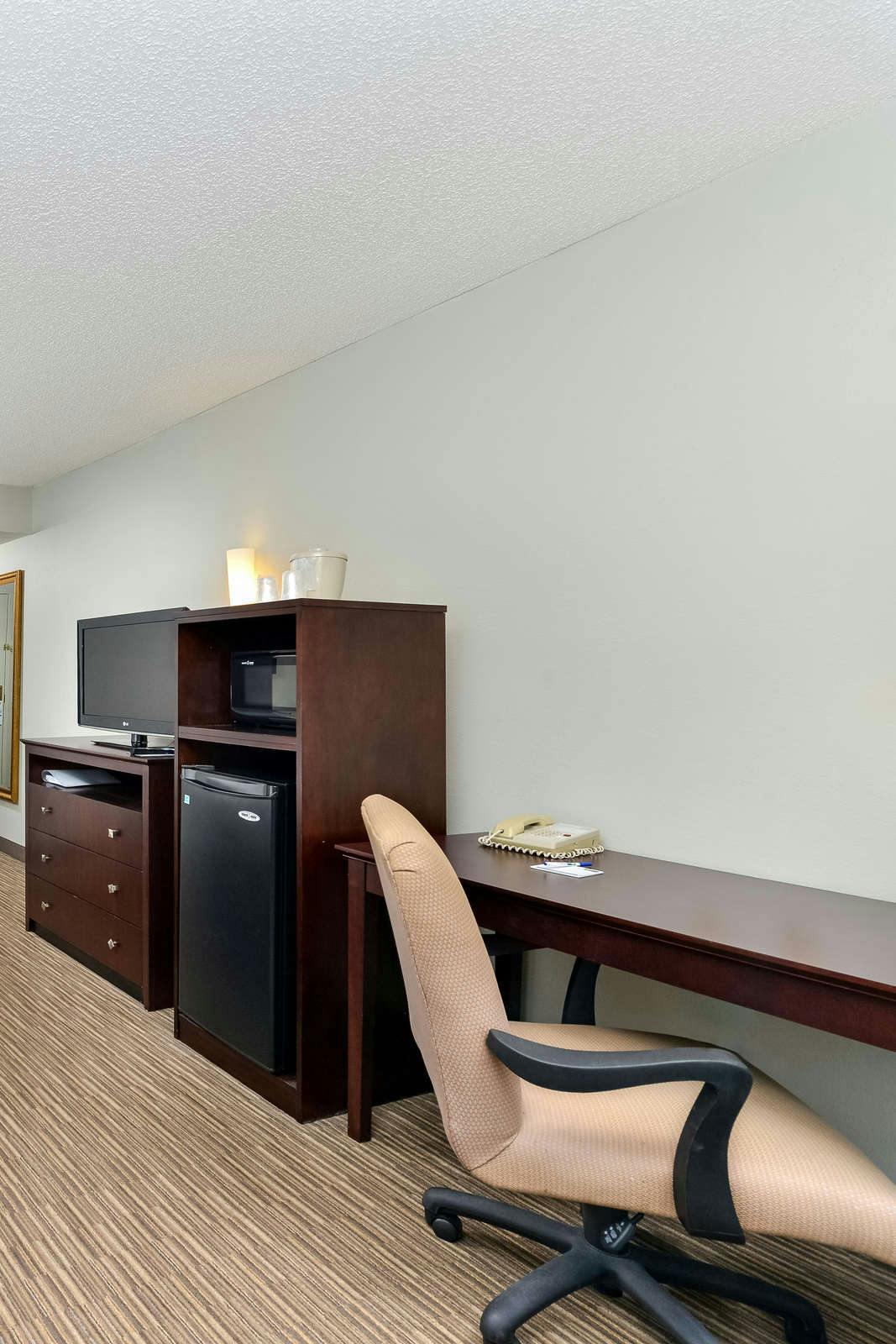 Hotel Holiday Inn Express Hotel & Suites Tampa / Rocky Point Island photo 3