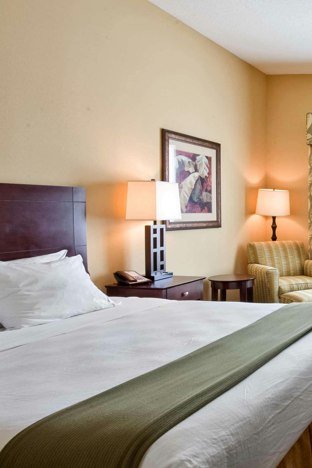 Hotel Holiday Inn Express Tampa USF photo 3