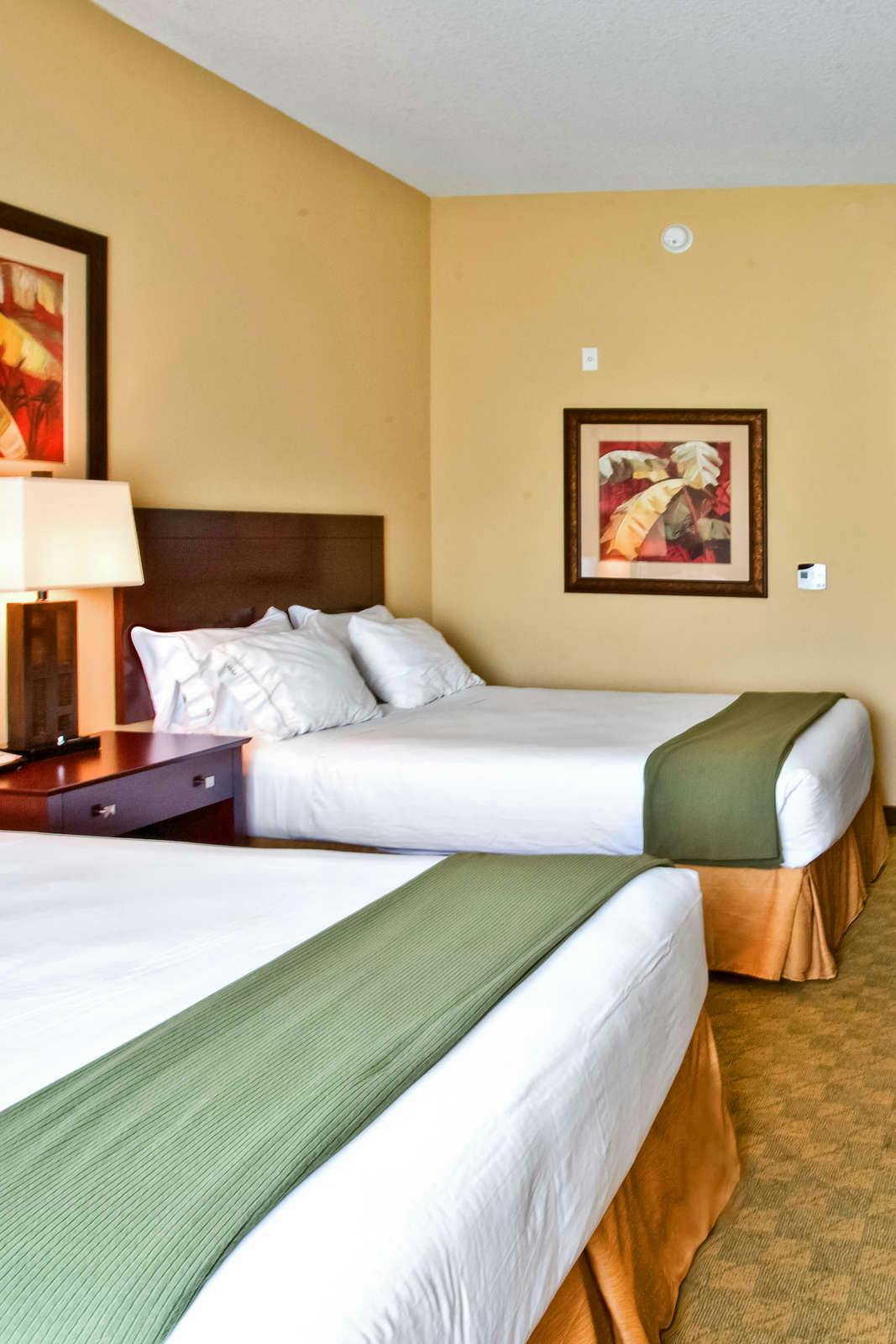 Hotel Holiday Inn Express Tampa USF photo 4