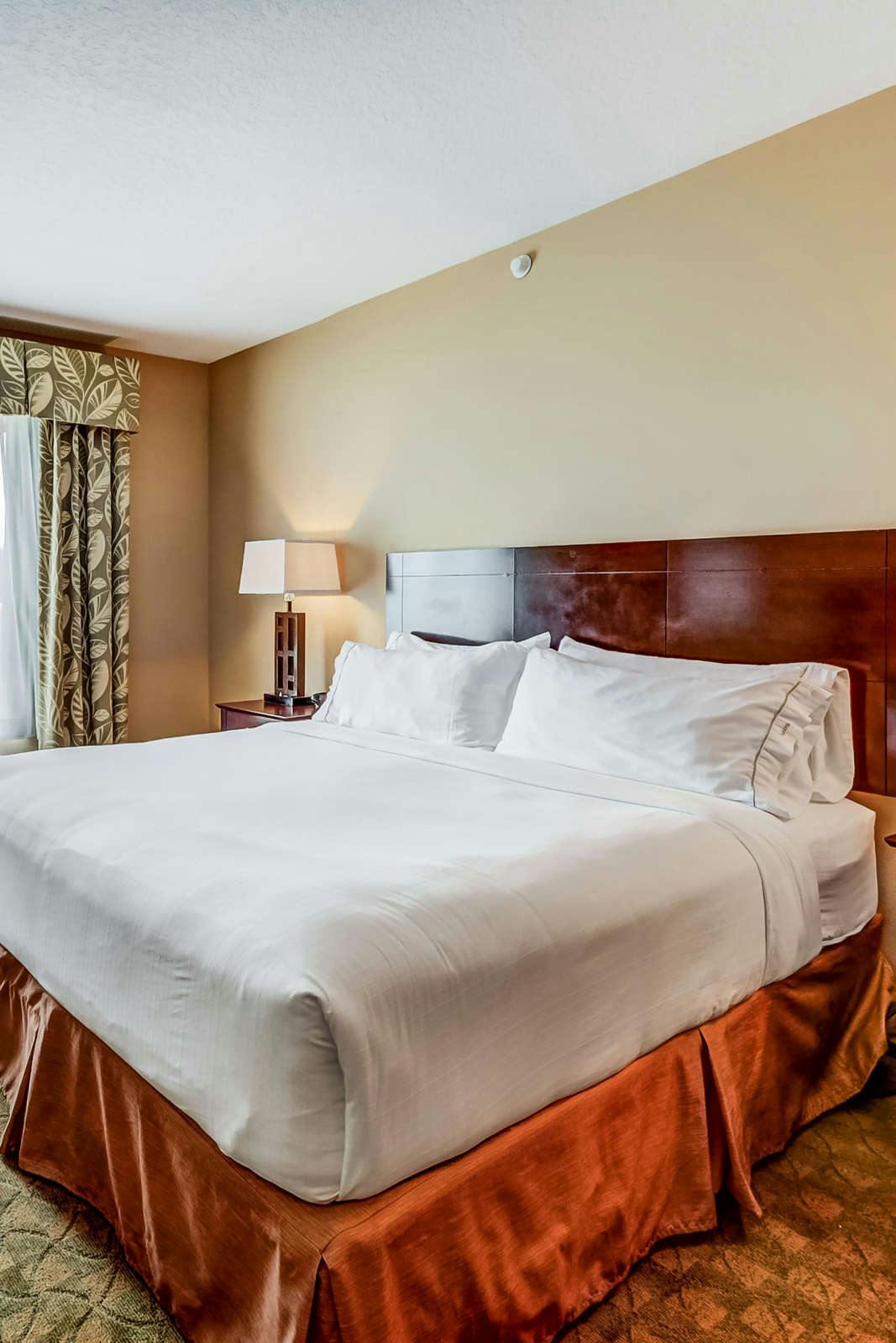 Hotel Holiday Inn Express Tampa USF photo 2