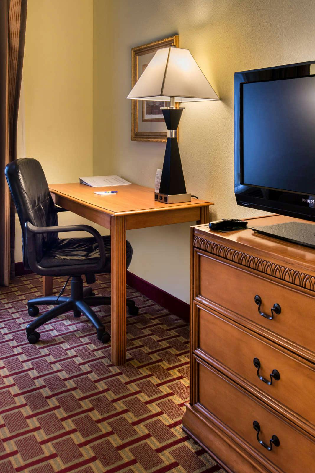 Hotel Holiday Inn Express Hotel & Suites Tampa Anderson Road photo 4