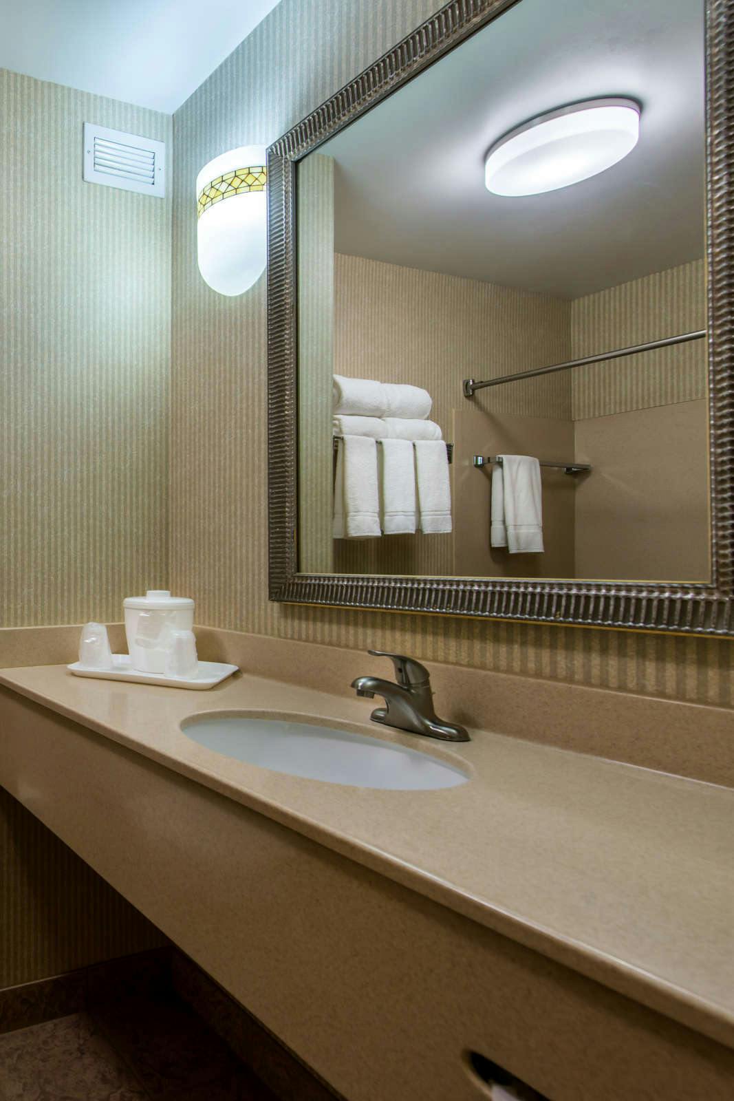 Hotel Holiday Inn Express Hotel & Suites Tampa Anderson Road photo 5