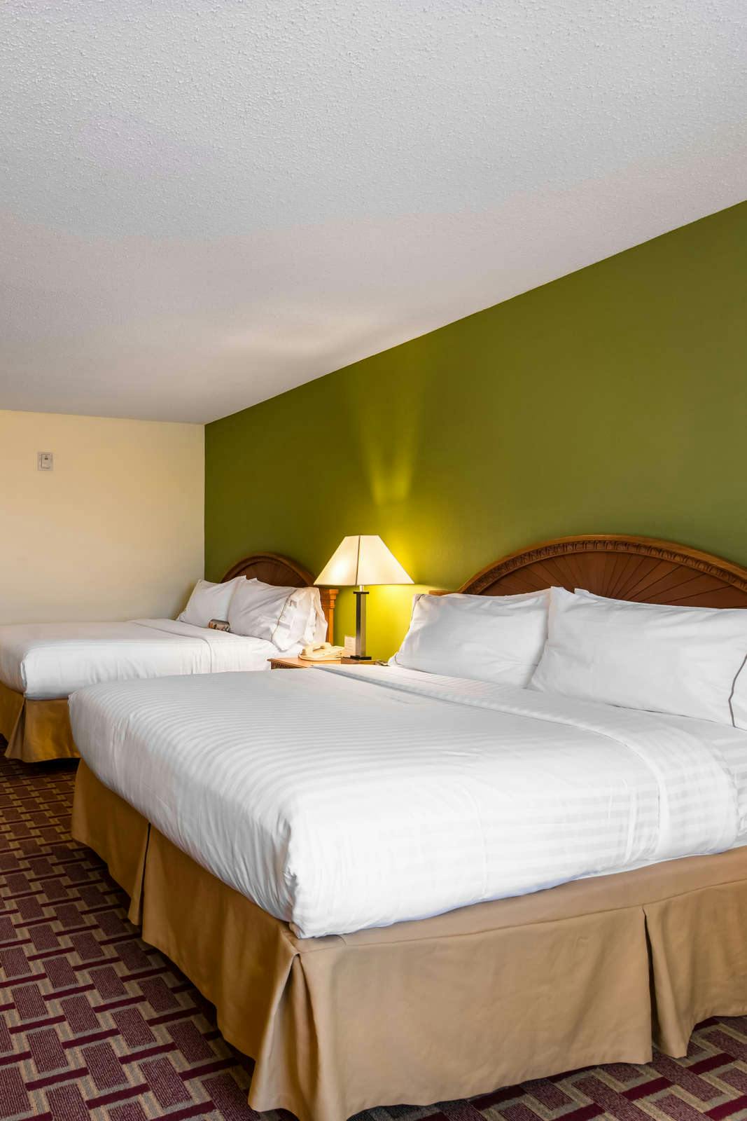 Hotel Holiday Inn Express Hotel & Suites Tampa Anderson Road photo 2