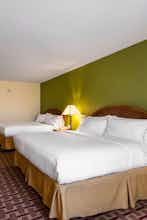 Hotel Holiday Inn Express Hotel & Suites Tampa Anderson Road photo 2