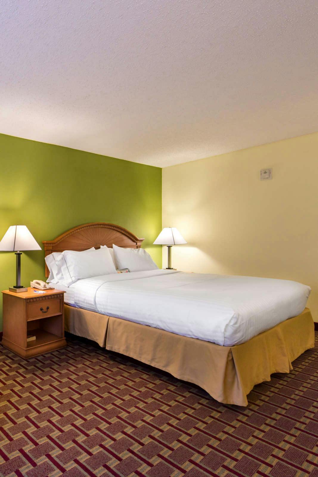 Hotel Holiday Inn Express Hotel & Suites Tampa Anderson Road photo 1