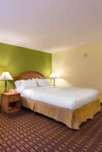 Hotel Holiday Inn Express Hotel & Suites Tampa Anderson Road photo 1