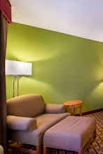 Hotel Holiday Inn Express Hotel & Suites Tampa Anderson Road photo 3