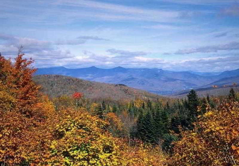 Hotel Courtyard Nashua photo 2
