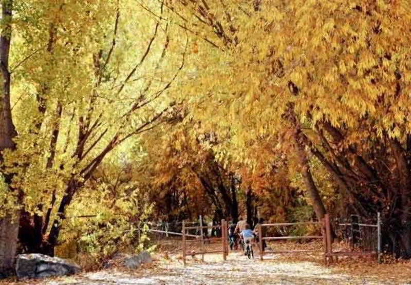 SpringHill Suites Provo