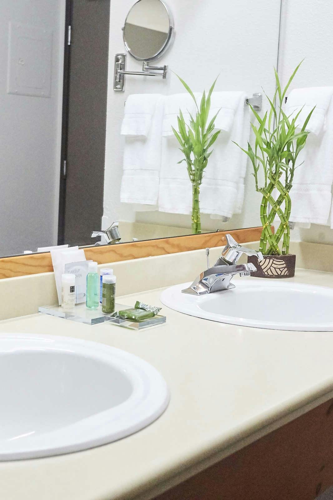 Hotel Radisson Hotel Portland Airport photo 4