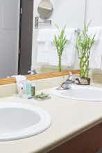 Hotel Radisson Hotel Portland Airport photo 4
