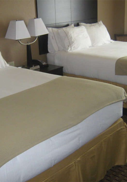 Hotel Holiday Inn Express Hotel & Suites Del Rio photo 2