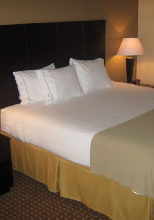 Hotel Holiday Inn Express Hotel & Suites Del Rio photo 1