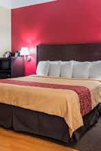 Hotel Red Roof Inn & Suites Lake Orion/ Auburn Hills photo 3