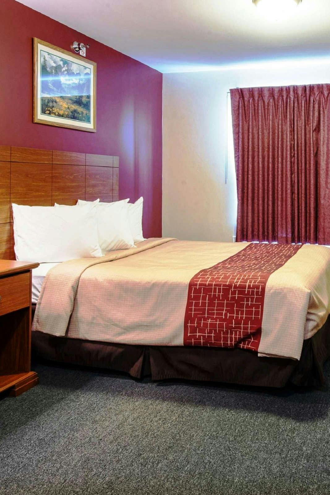 Hotel Red Roof Inn & Suites Dickinson photo 3
