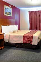 Hotel Red Roof Inn & Suites Dickinson photo 3