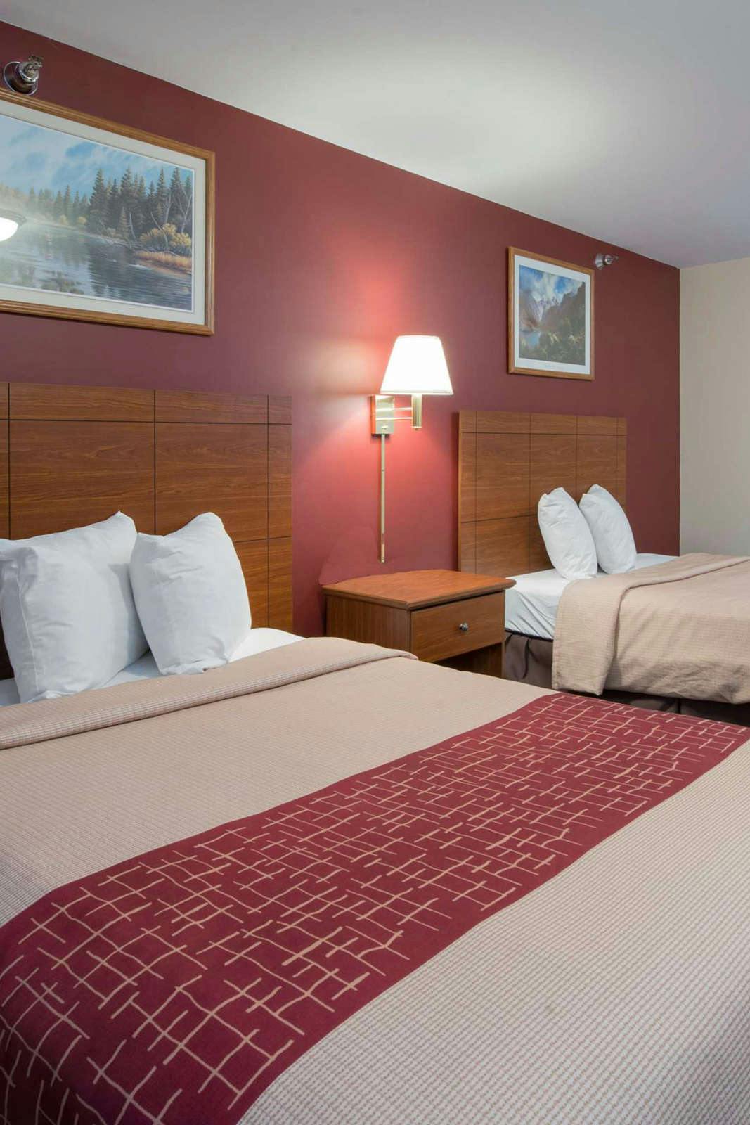 Hotel Red Roof Inn & Suites Dickinson photo 4