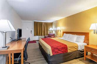 Hotel Econo Lodge Miles City I-94 photo 2