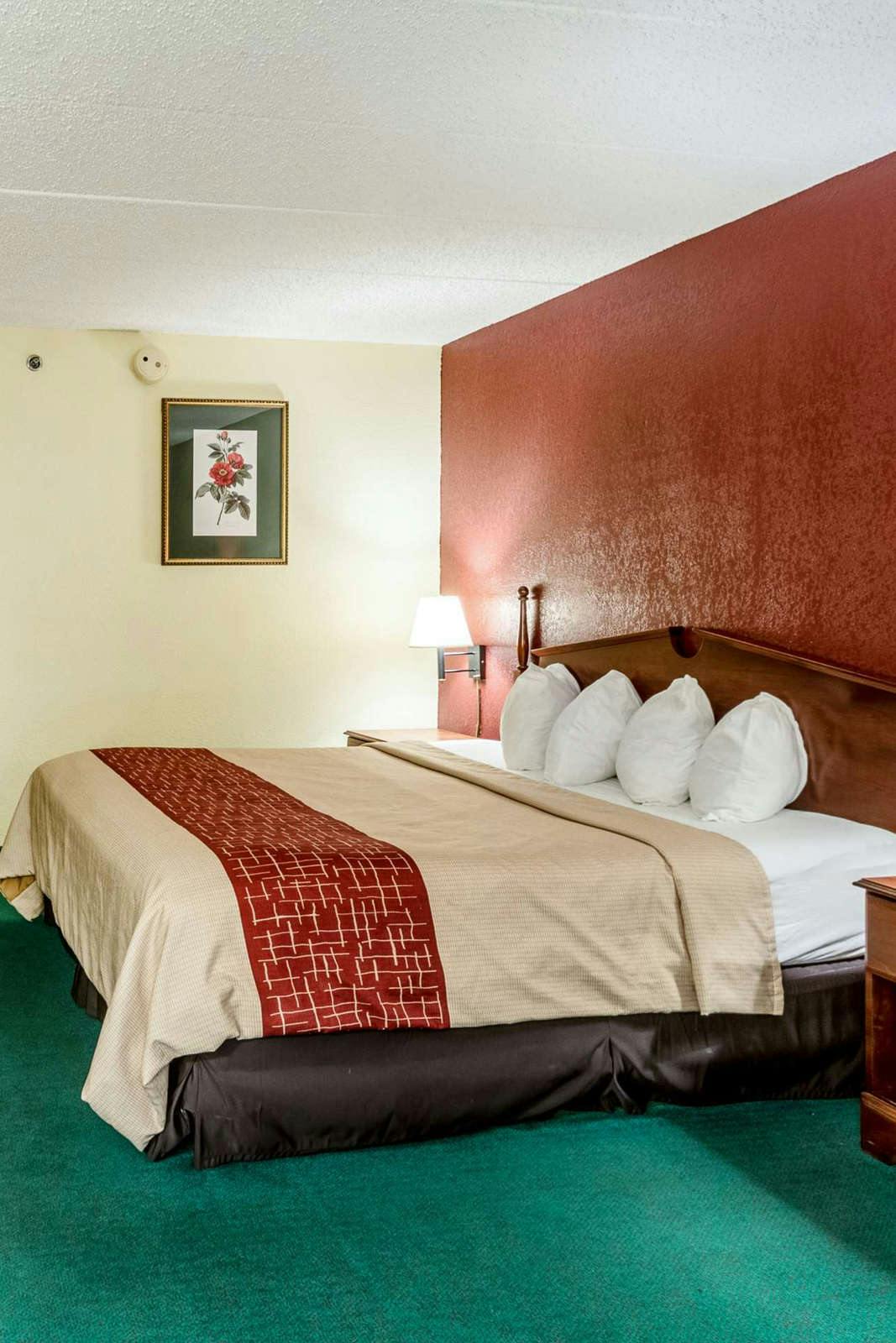 Hotel Red Roof Inn Morehead photo 3