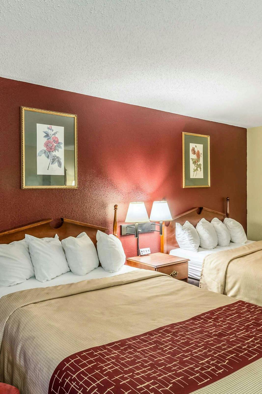 Hotel Red Roof Inn Morehead photo 4