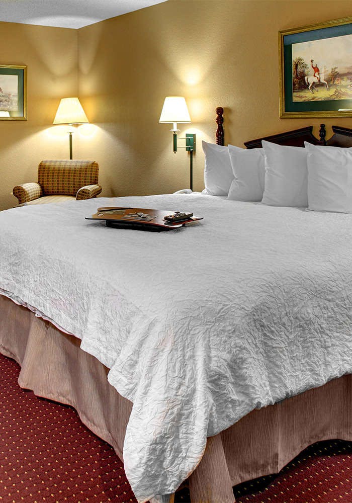 Hotel Hampton Inn Greenville I-385 - Woodruff Rd. photo 2