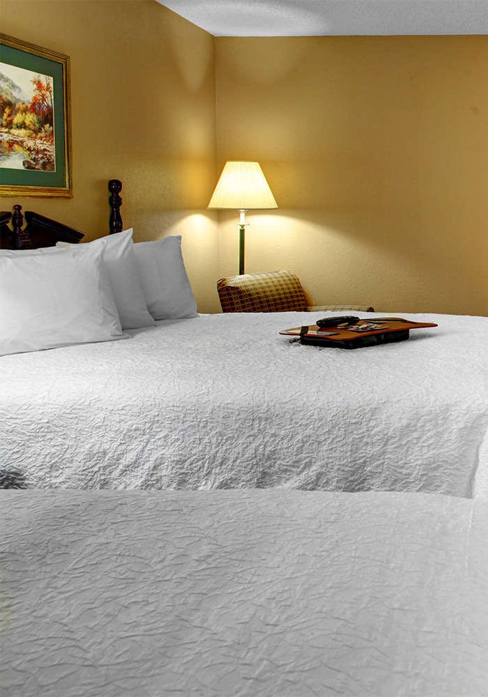 Hotel Hampton Inn Greenville I-385 - Woodruff Rd. photo 3