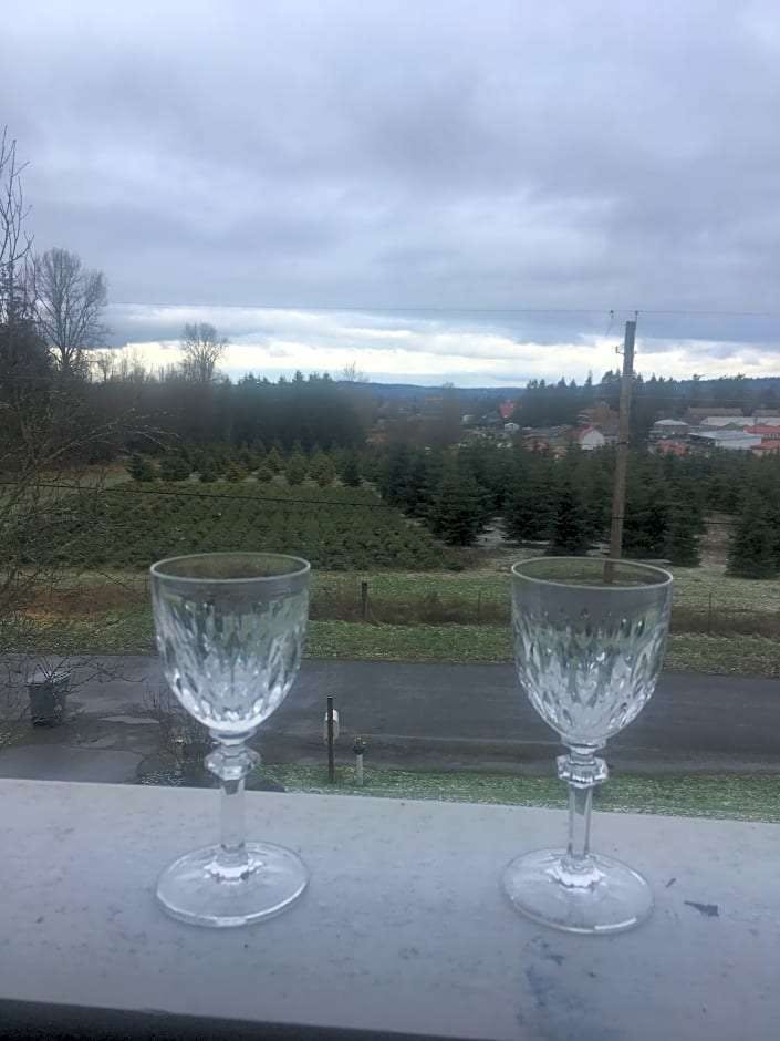 Hotel Tayberry Victorian Cottage B&B photo 2