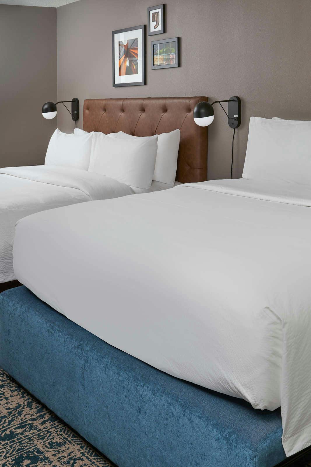 Hotel Four Points by Sheraton Chicago Schaumburg photo 3