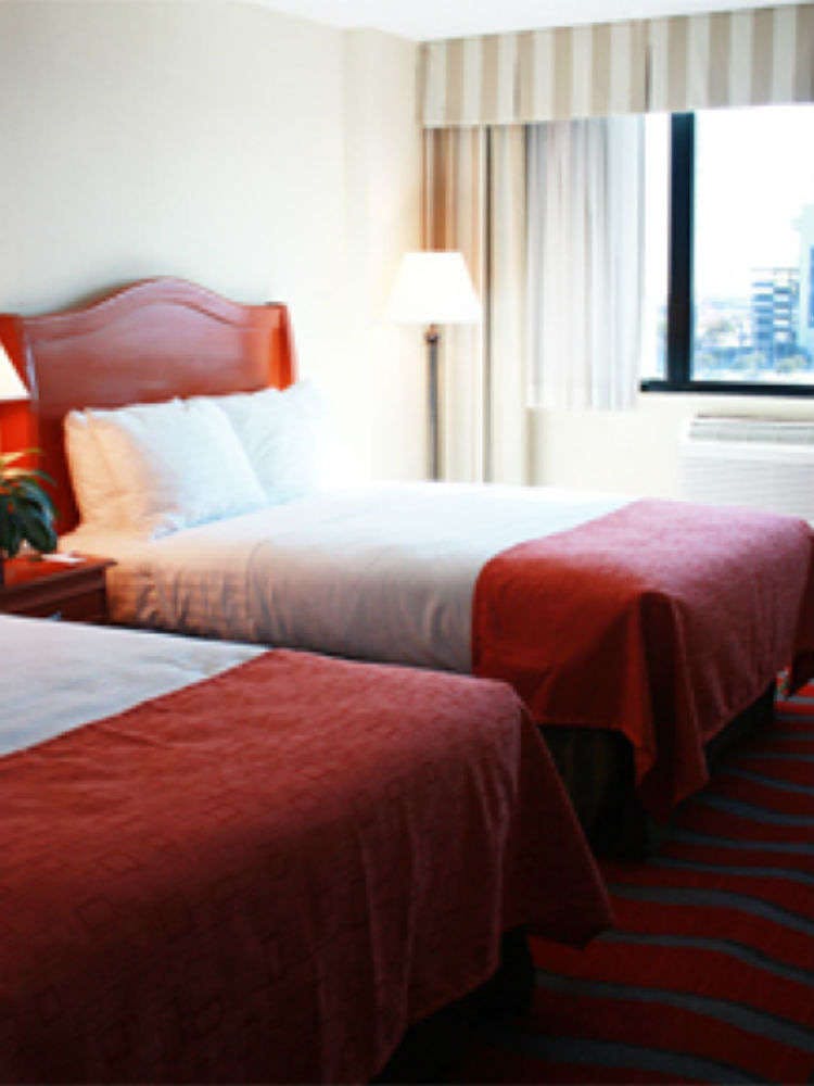 Hotel Holiday Inn NRG/Medical Center Area photo 3