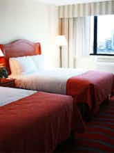 Hotel Holiday Inn NRG/Medical Center Area photo 3
