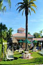 Hotel Tropical Beach Resorts photo 1