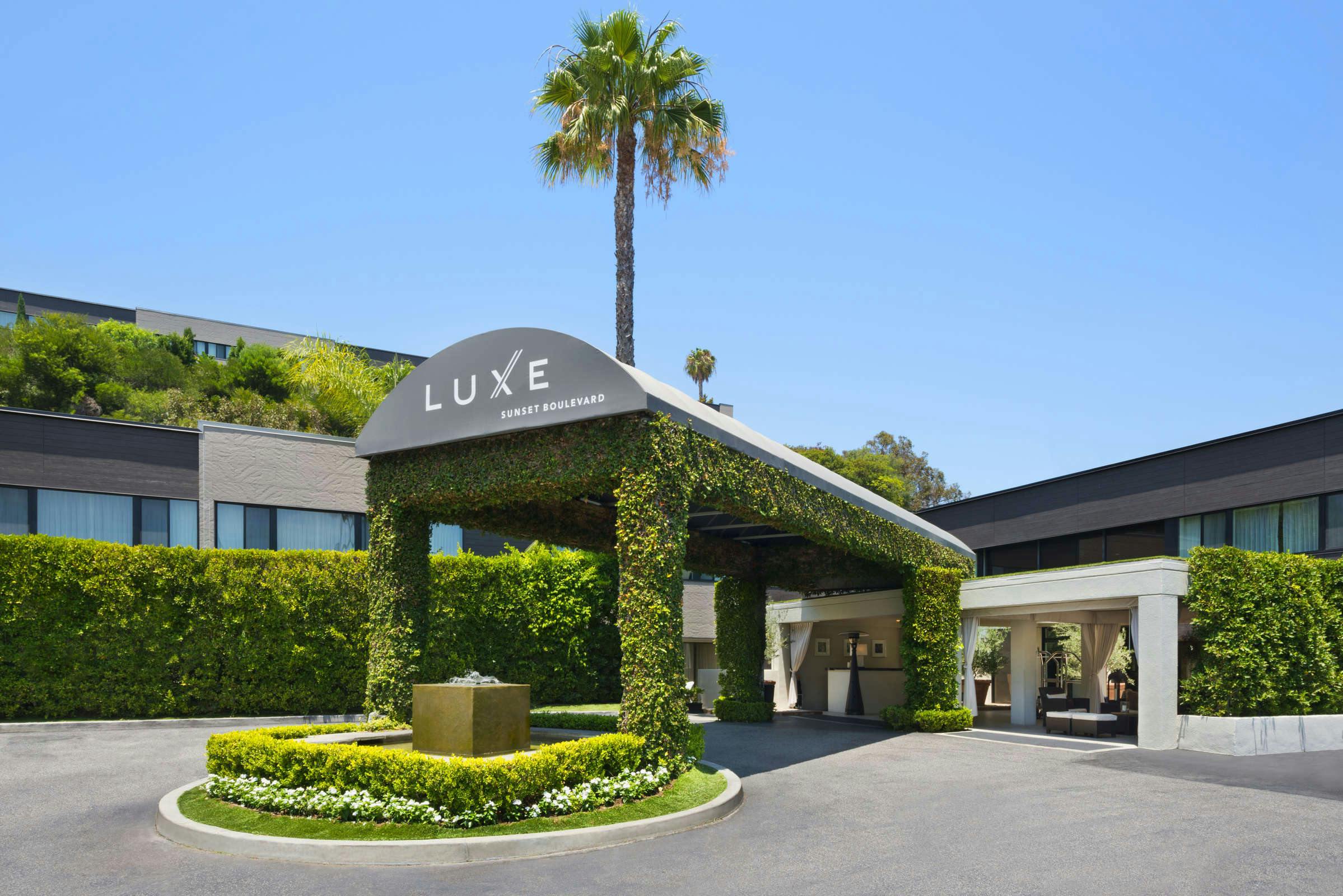 Hotel Luxe Sunset Boulevard Hotel photo 3