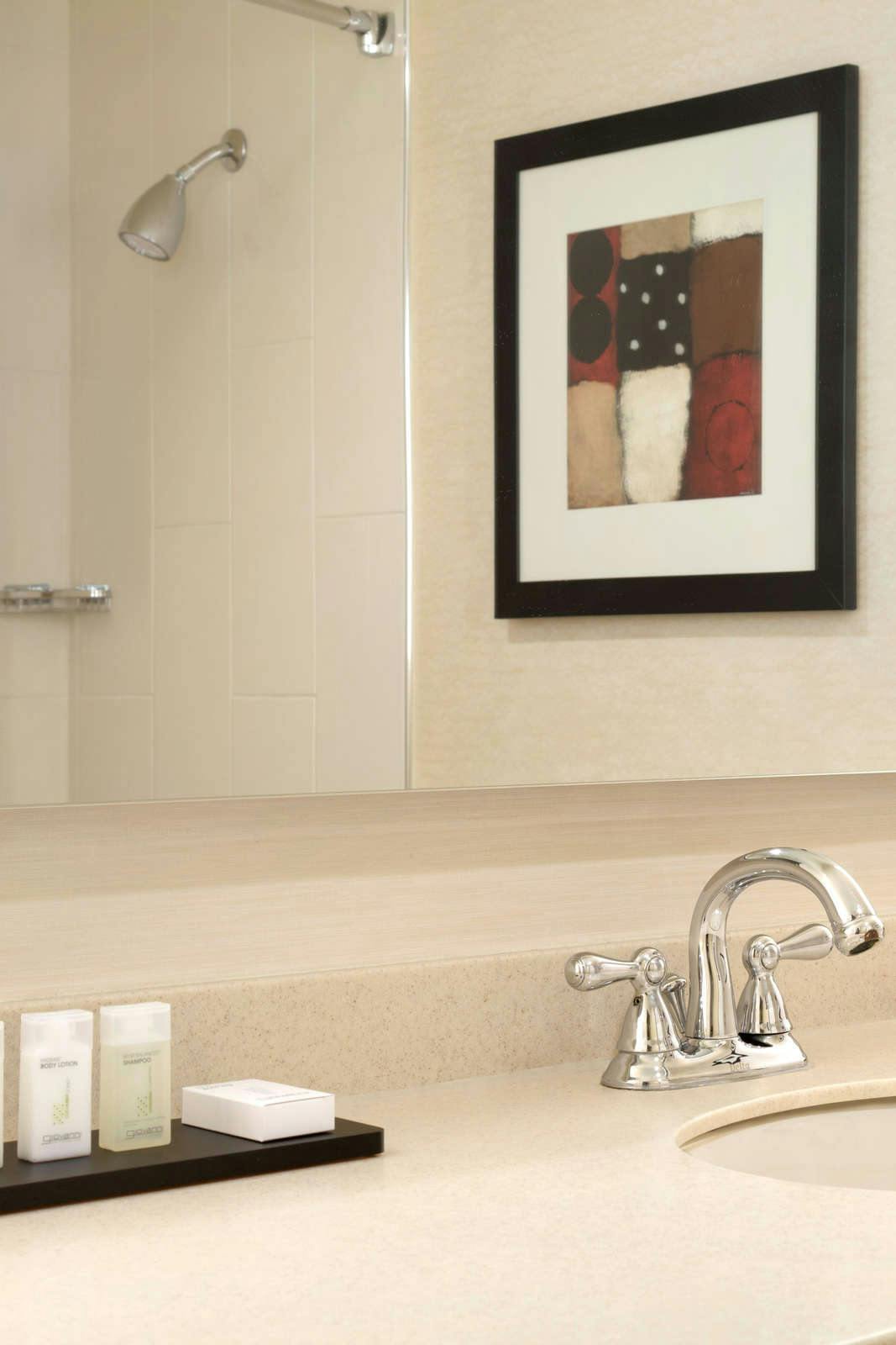 Hotel Embassy Suites by Hilton Chicago North Shore Deerfield photo 4