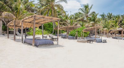 Nest Tulum