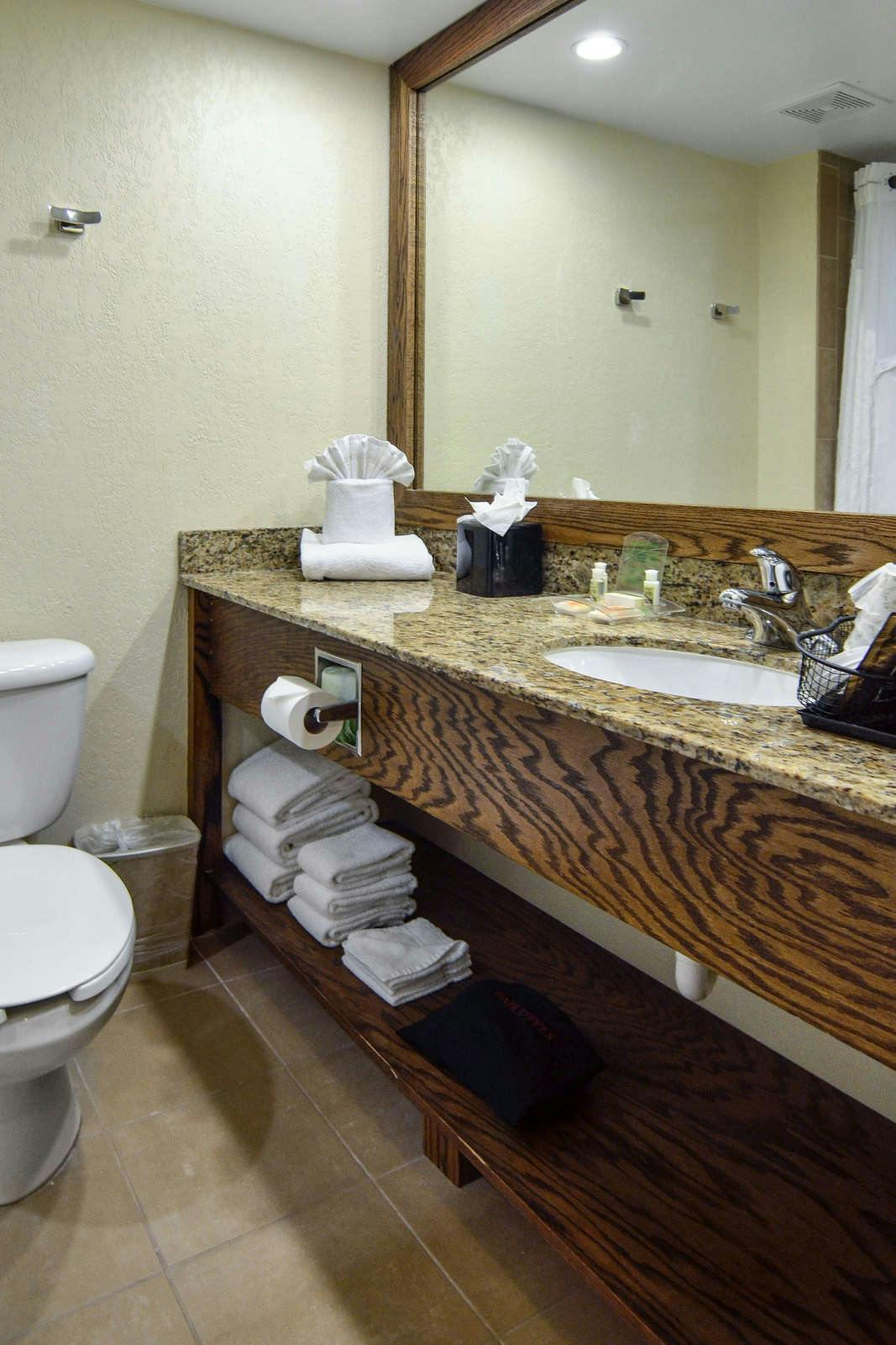 Hotel Holiday Inn Edison at Midtown photo 3