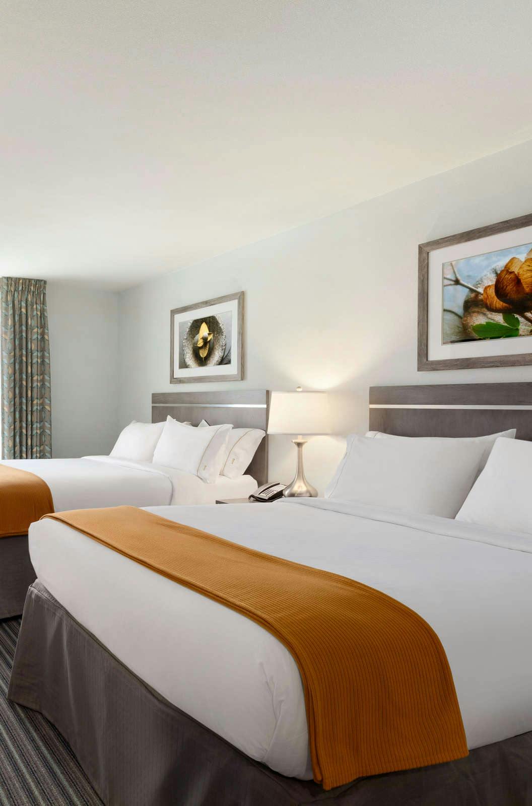 Hotel Holiday Inn Express North photo 3