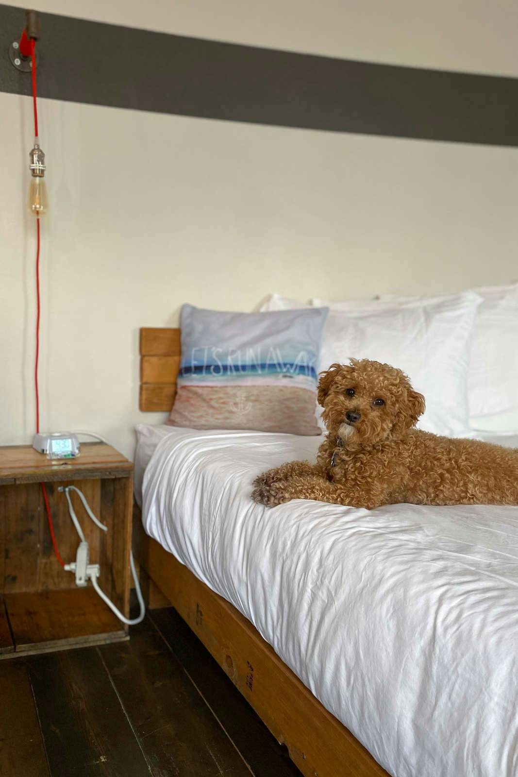 Hotel Ashore Hotel photo 2