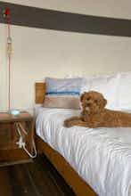 Hotel Ashore Hotel photo 2