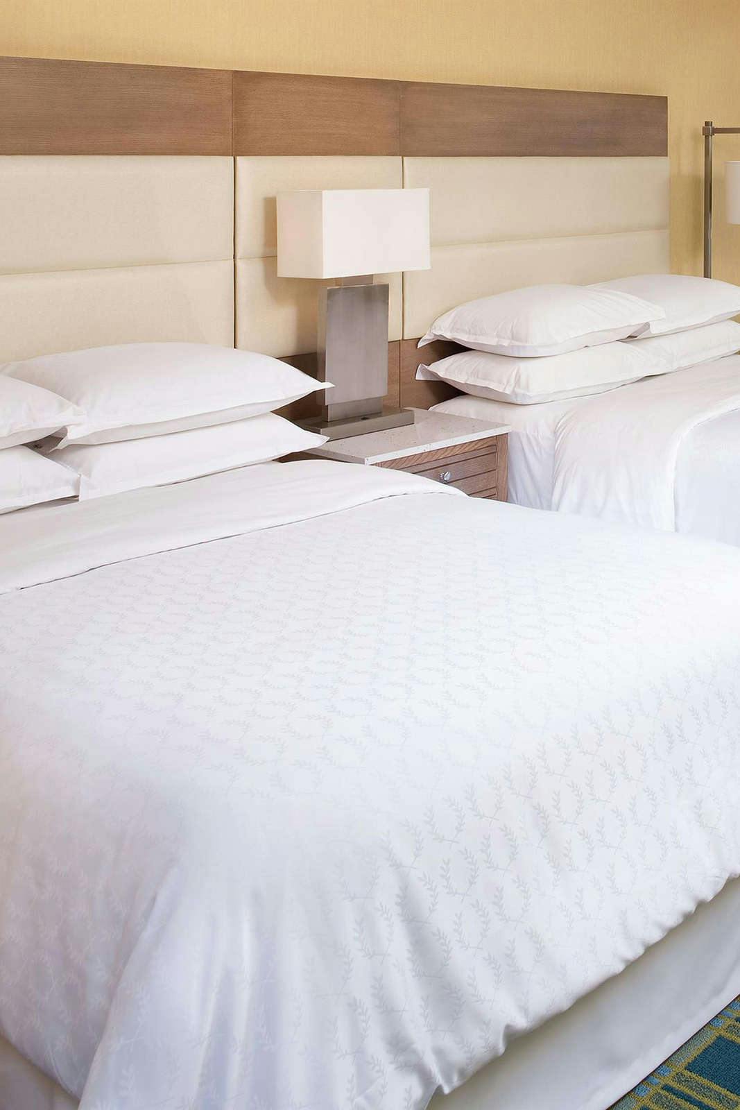 Hotel Sheraton Virginia Beach Oceanfront Hotel photo 1