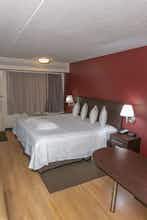 Hotel Red Roof PLUS+ Washington DC - Alexandria photo 5