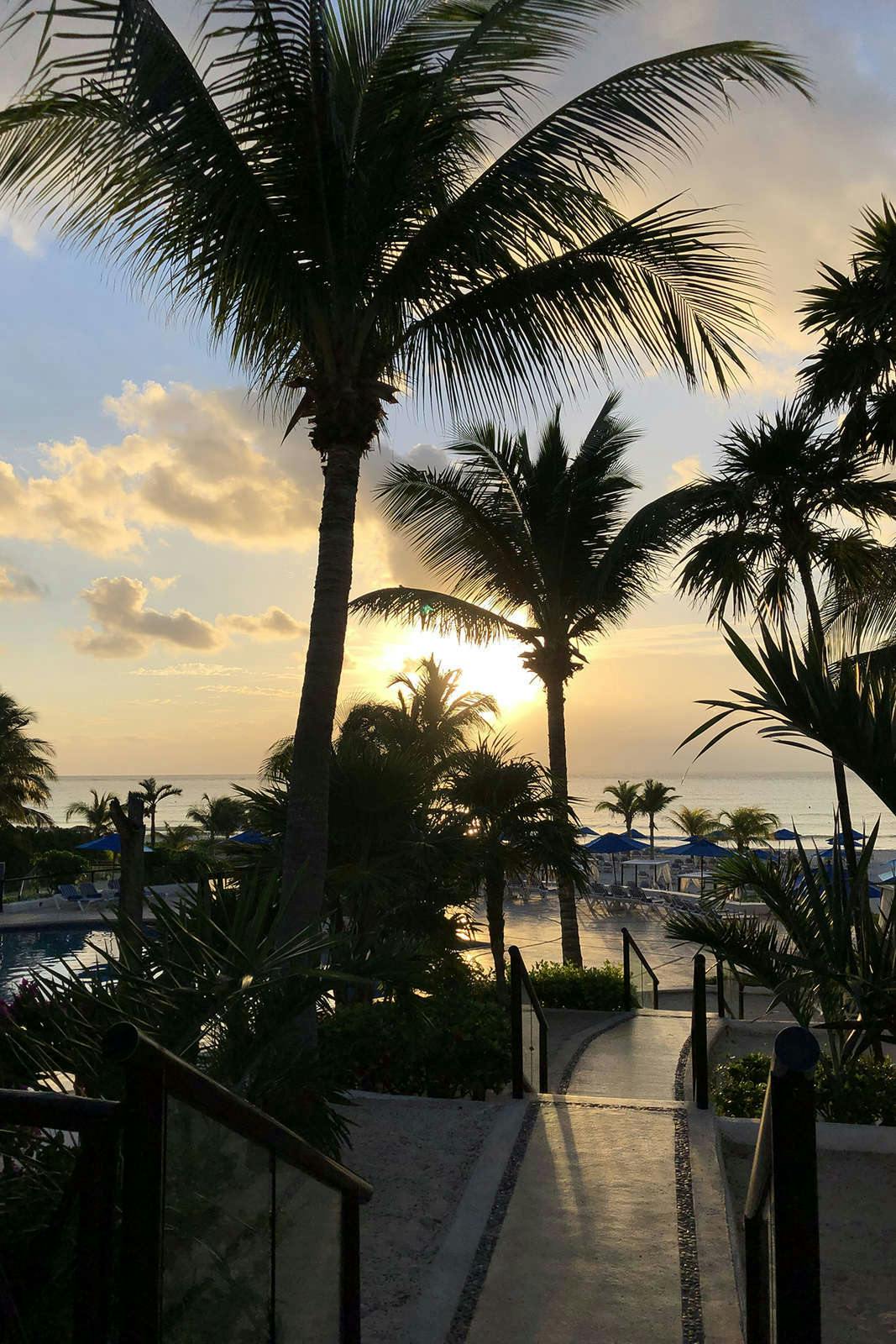 Hotel The Reef Playacar Resorts and Spa photo 3