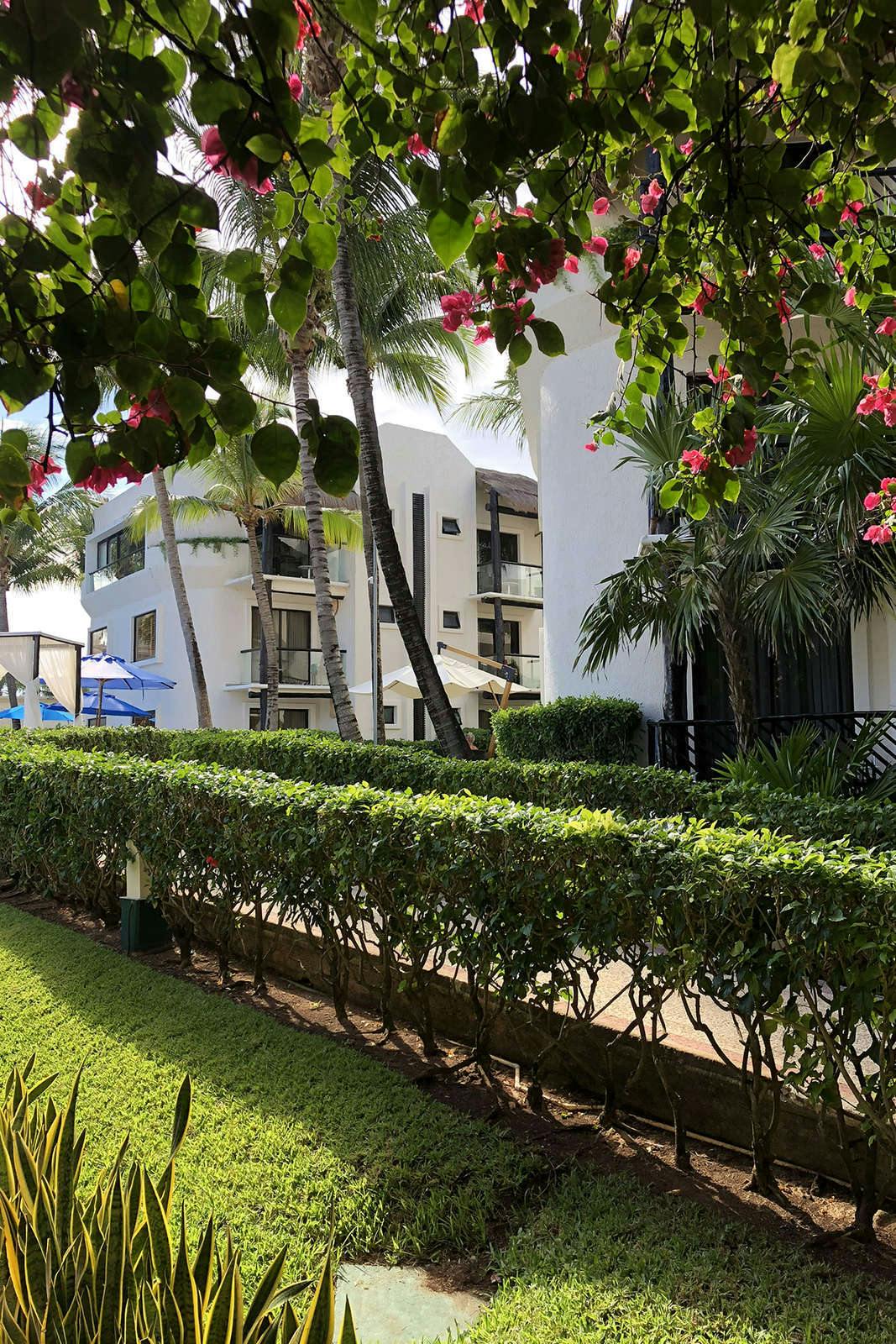 Hotel The Reef Playacar Resorts and Spa photo 4