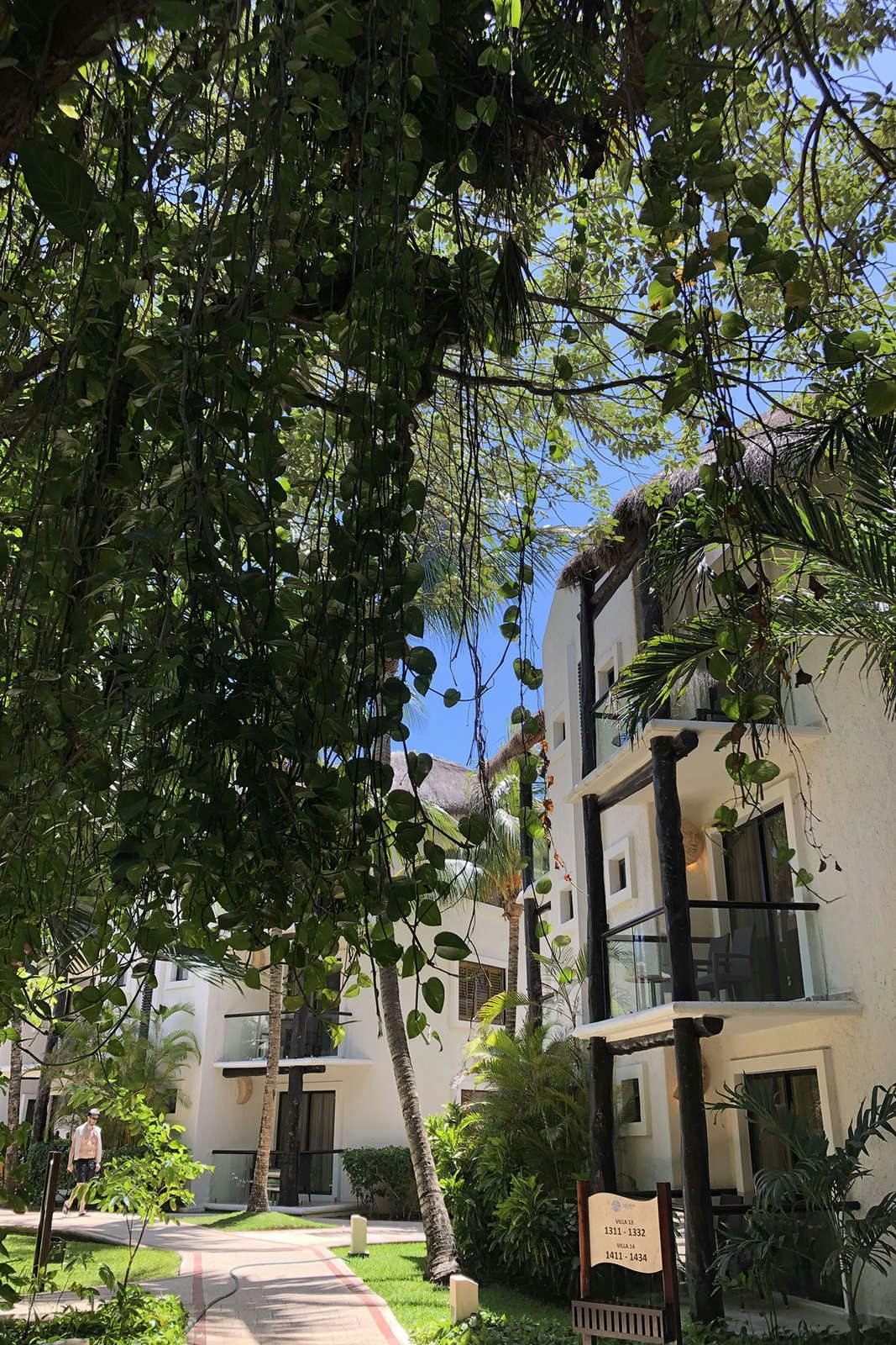 Hotel The Reef Playacar Resorts and Spa photo 5