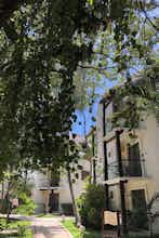 Hotel The Reef Playacar Resorts and Spa photo 5