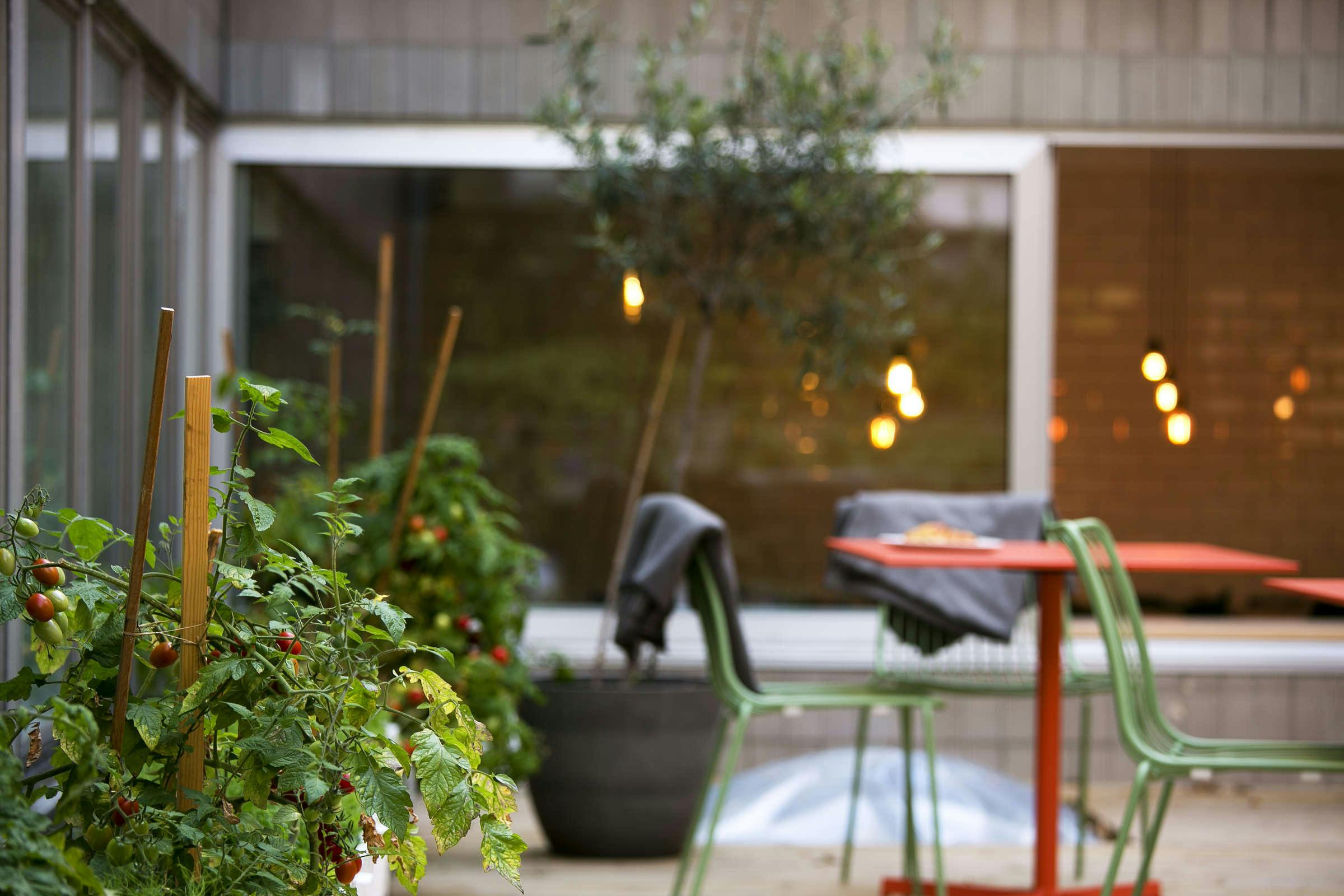 Hotel Moment Hotels photo 2